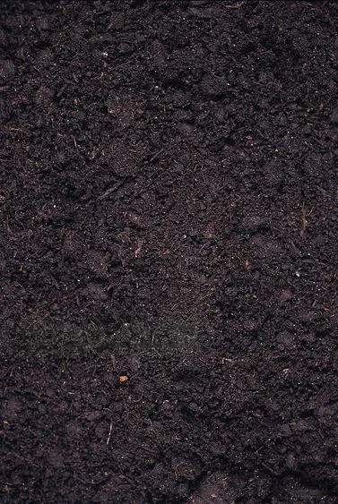 Soil Behavior Image
